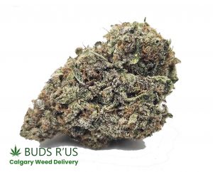 MAC value buds