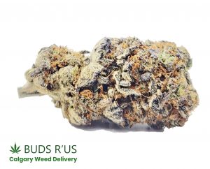 blue magic buds r us calgary