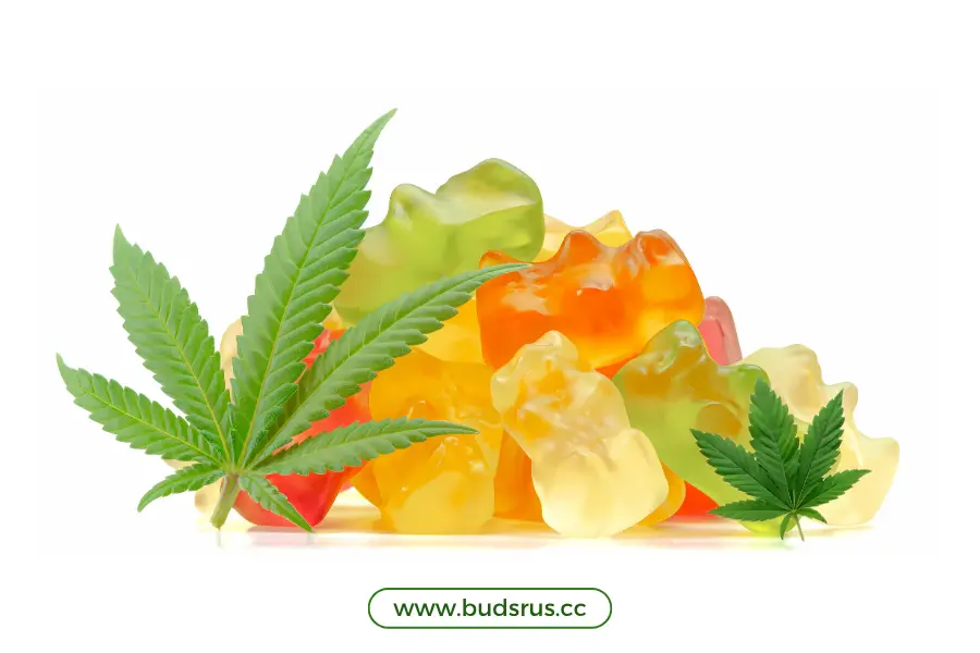 Indica vs Sativa Edibles | weed gummies online in calgary