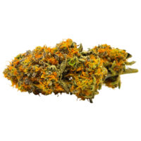 RS11 - Eighth, 3.5 Grams
