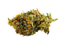Pink Rockstar - Quarter, 7 Grams