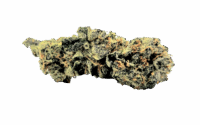 Purple Kush - Ounce, 28 Grams