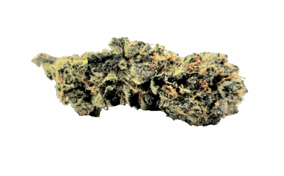 Purple Kush