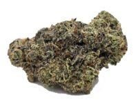 Biscotti – ULTRA PREMIUM AAAA+