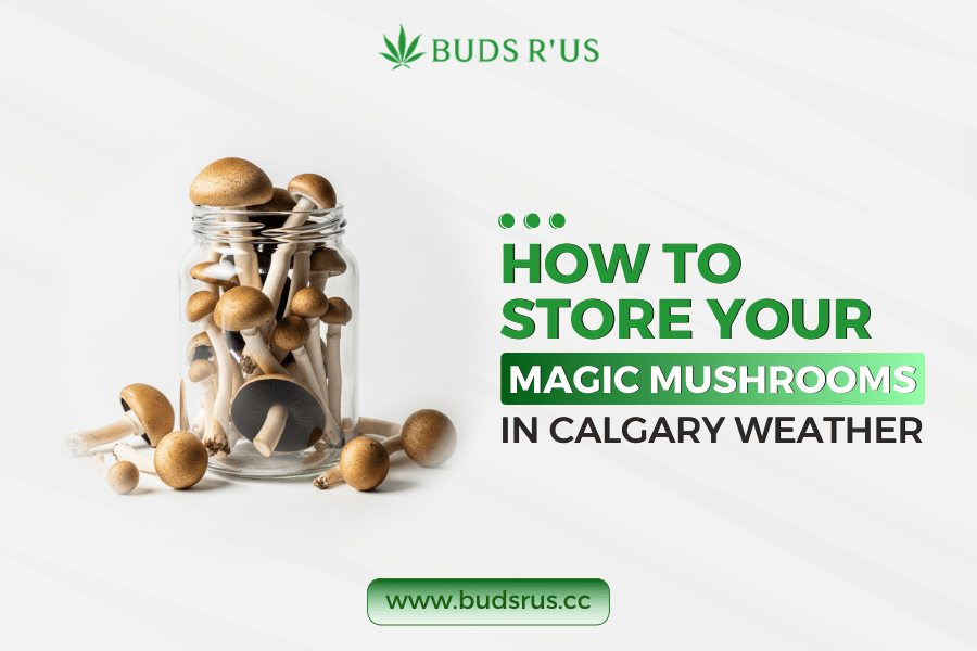 Store magic mushrooms in calgary