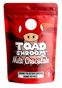 Toad Shroom Bites - 1 Gram: The Perfect Beginner’s Journey